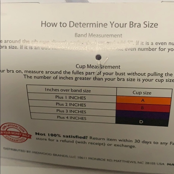 💕Just Be Intimates Plus Bra💕 - Picture 5 of 5